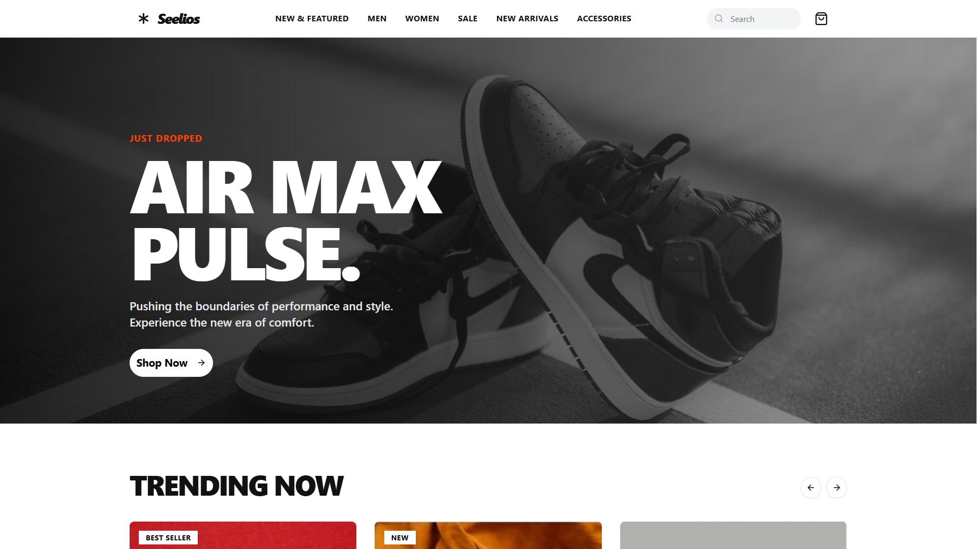 Seelios - Shoe Ecommerce Website